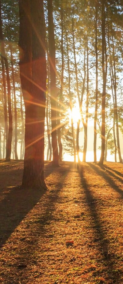 trouver-un-mobilhom-dans-les-landes-2