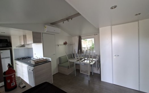 TRIGANO Evo 35 (coloris9 bois ) avec climatisation, terrasse, lave vaisselle
