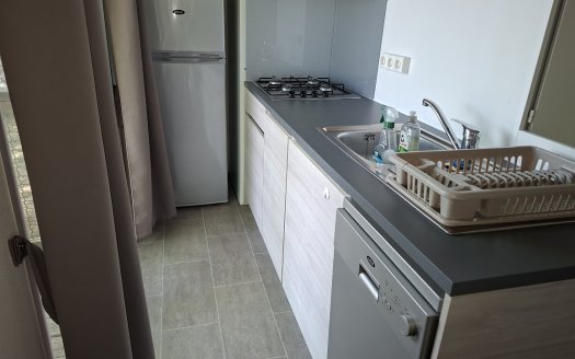 TRIGANO Evo 35 (coloris9 bois ) avec climatisation, terrasse, lave vaisselle