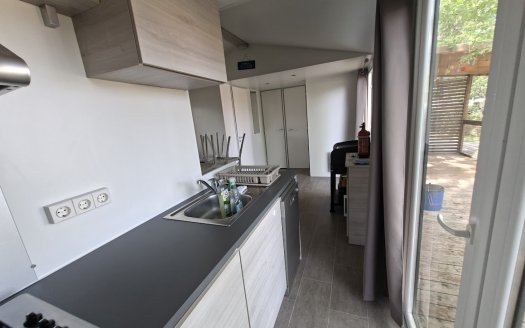 TRIGANO Evo 35 (coloris9 bois ) avec climatisation, terrasse, lave vaisselle