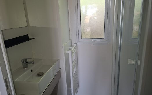 TRIGANO Evo 35 (coloris9 bois ) avec climatisation, terrasse, lave vaisselle